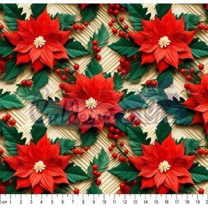 Natal 2024 cor - 03 (Est. Digital)